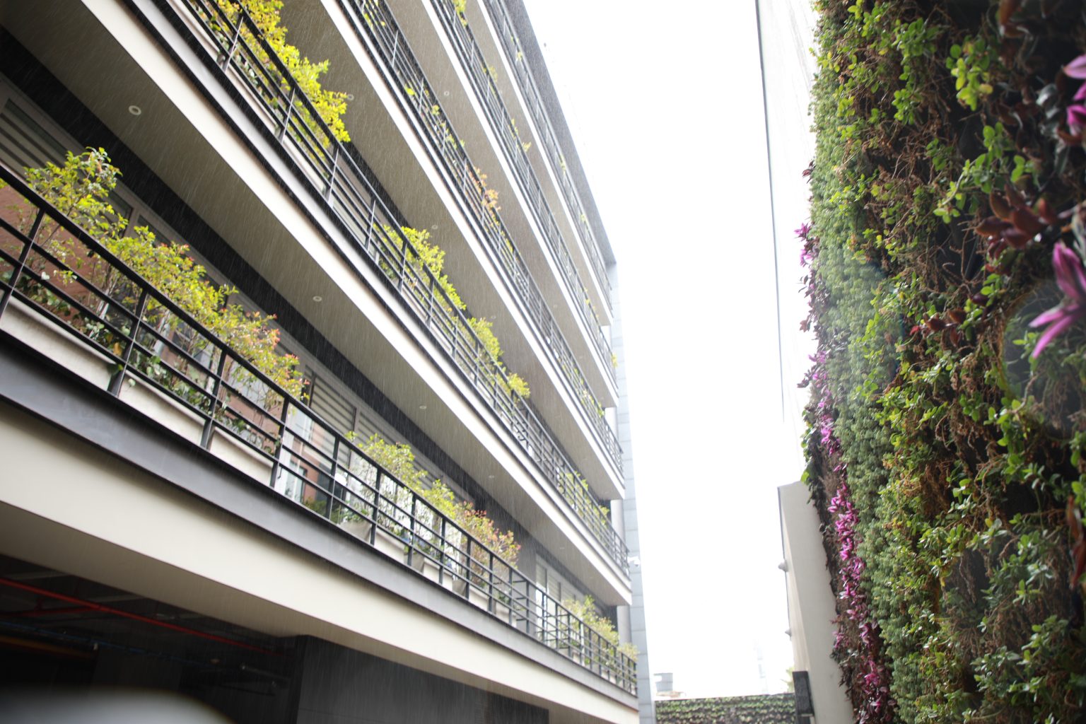 La Alfm Fortalece Las Huertas Sostenibles