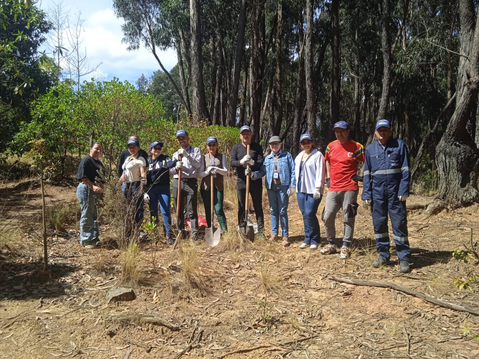 Jornada De Reforestación