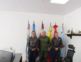 Director ALFM-CODALTEC Director ALFM-CODALTEC